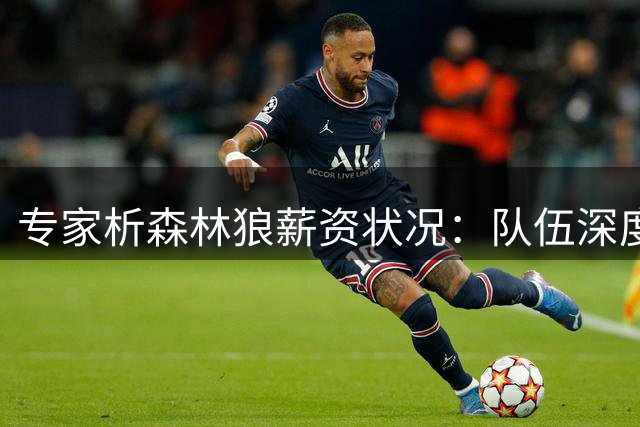 专家析森林狼薪资状况：队伍深度显著提升且兼顾财务灵活